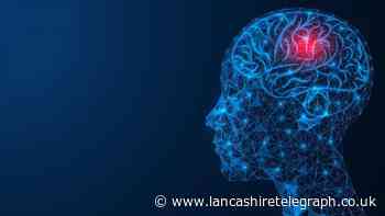 MARTIN FURBER: Brain function and our emotions