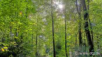 Jena begeht den „langen Tag der Natur“