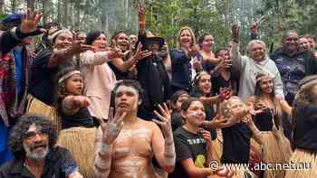 'Long time coming': Queensland's iconic Fraser Island officially named K'gari