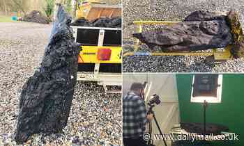 Oldest carved piece of wood in Britain dates back 6,000 years - 2,000 years older than Stonehenge