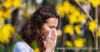 Hay fever £4 'miracle cure' sufferers praise as symptoms disappear