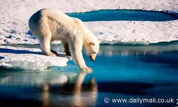 Summers in the Arctic could be ice-FREE in just 10 years thanks to climate change, study warns