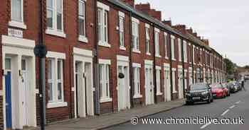 Northumbria Police seal off Walker street in hunt for suspect wanted over alleged assault