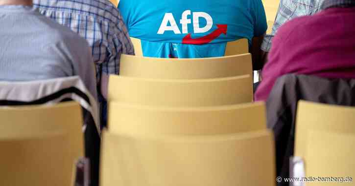 Institut: Voraussetzungen für AfD-Verbot sind erfüllt