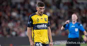 Sunderland will snap up a 'bargain' if they land young Australia defender Nectarios Triantis