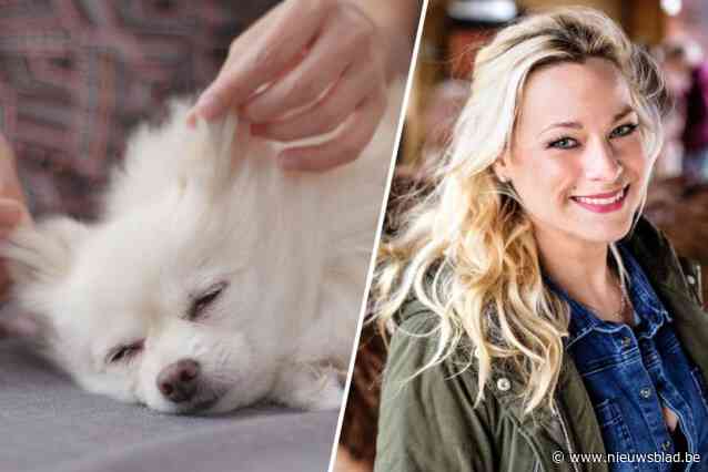 Ondanks oproep van An Lemmens gaat Roefel-activiteit bij Woefkesranch gewoon door: “Dienst geviseerd met haatmails”