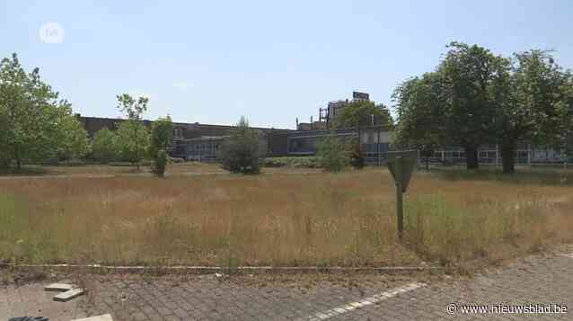 Komst ultramoderne glasfabriek naar Lommel goed voor 1.500 jobs