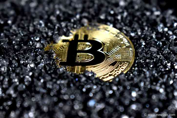 Bitcoin Contrarians Win As Rebound Occurs Against Crowd Expectations: Santiment