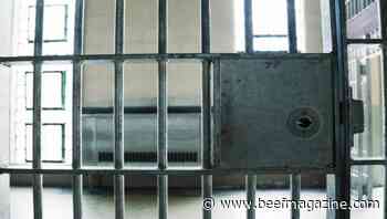 Former USDA animal inspector sentenced for accepting bribes