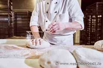 Wie Unternehmen im Kreis Höxter noch Auszubildende gewinnen