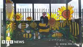 Hull's Bee Lady remembered with 'buzz shelter' to help insects