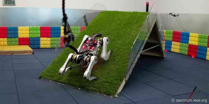 Benchmarking Robots with Dog-Inspired Barkour