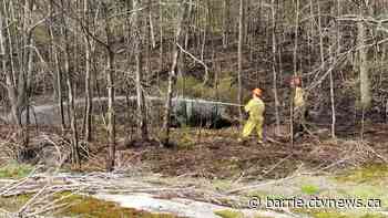 Open-air burning banned in several parts of Simcoe County as tinder-dry conditions persist