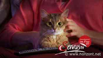 Red-Bull-Sender: Servus TV beendet lineares Programm in Deutschland