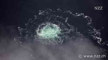 Wer steckt hinter der Sprengung von Nord Stream 2? Die Spur führt immer deutlicher in die Ukraine, doch deutsche Experten und Politiker bleiben skeptisch