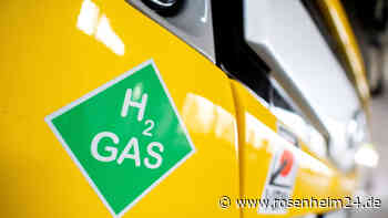 Experte: Deutschland bei grünem Wasserstoff „nicht wettbewerbsfähig“