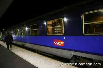 Un train de nuit Paris-Nice percute un troupeau de vaches en Bourgogne, 400 passagers en attente durant neuf heures