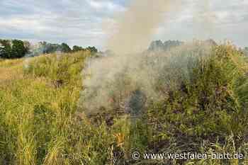 Feuerwehr Hövelhof löscht Flächenbrand