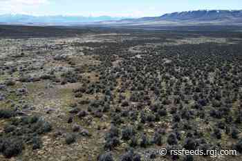 Nevada to receive $12 million from Interior for habitat restoration
