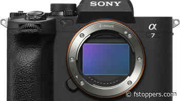 One Year Later With The Sony a7 IV