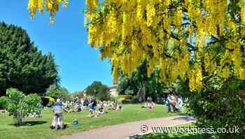 York Weather forecast following first UK heat health alert