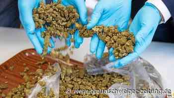 53 Kilo Gras in Salzgitter – wer hat sie gekauft?