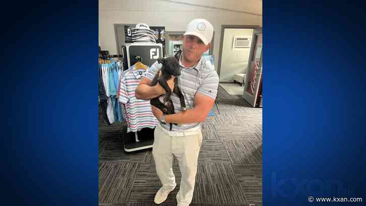Austin man finds multiple puppies at golf course
