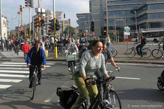 Fietschaos op kruispunt Singel-Grotesteenweg: “Deels onvermijdelijk door de werkzaamheden, maar we doen aanpassingen”