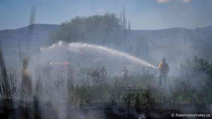 Vancouver Island road closed, campfire bans, as drought raises wildfire risks in B.C.