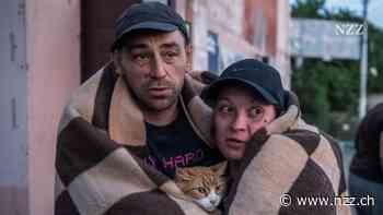 Nach dem Dammbruch von Kachowka: Zurück bleibt eine apokalyptische Landschaft voller toter Tiere, Unrat und Häuser unter Wasser