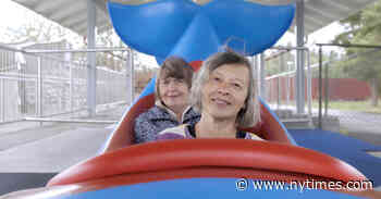 Standout Films From the Tribeca Festival