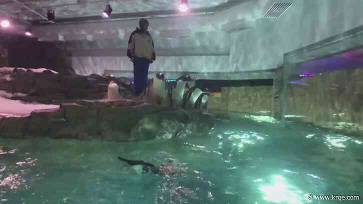 Get to know the animals: ABQ BioPark Connections program