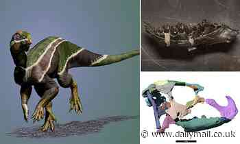 Dinosaur named after the two-faced Roman god of change is unearthed in Utah