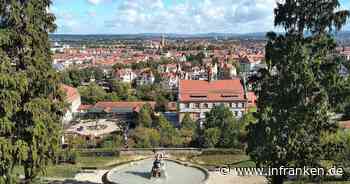 Bamberg: Stadt will Baumbestand besser schützen - mit KI