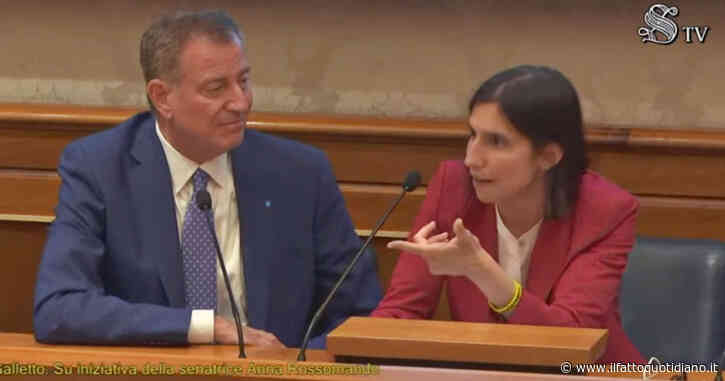 Schlein: “Dal governo attacco al diritto alla casa, all’interno del reddito di cittadinanza c’era una parte destinata anche agli affitti”