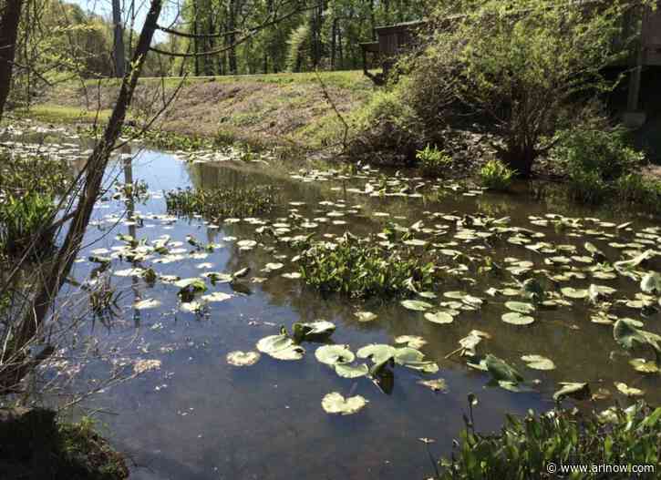 County Board set to consider $2 million contract for Sparrow Pond restoration