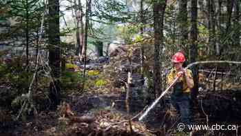 Ottawa looking at options for a national disaster response agency as wildfires rage