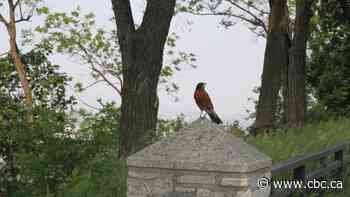 Schools keeping students indoors as Hamilton hit hard by wildfire smoke