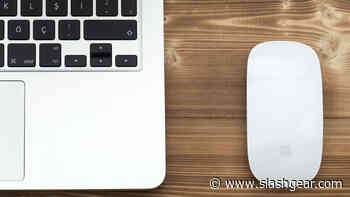 4 Of The Best Computer Mice For Your Mac, Ranked