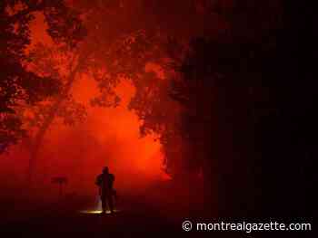 So you want to be a forest firefighter? Here's what's involved