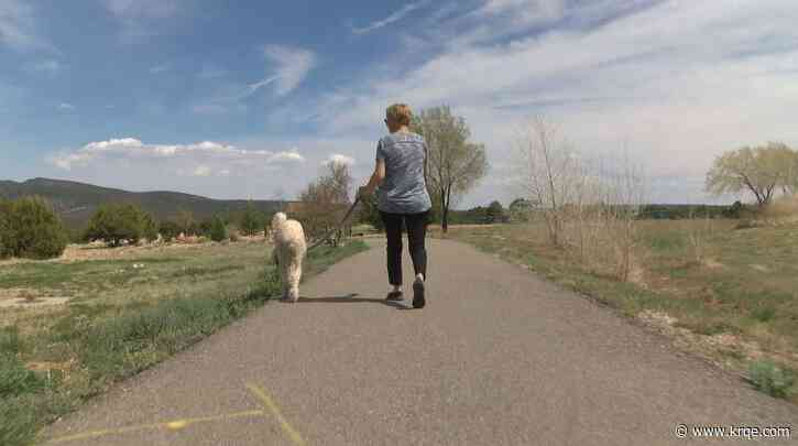 Protecting your pets from the New Mexico heat
