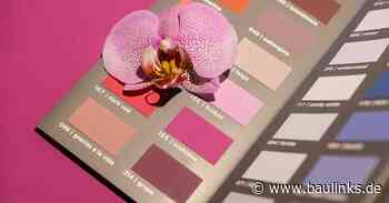 Trendfarbe 2023: Viva Magenta! Volvox feiert Rottöne in all ihren Variationen