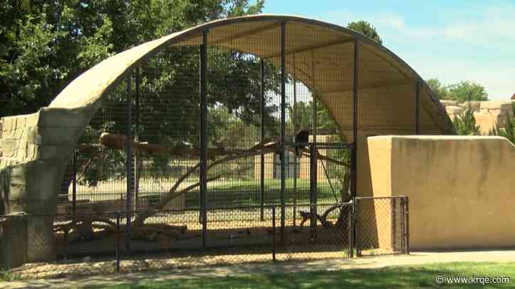 Feds fine Roswell Zoo for alleged animal issues, escaped beaver