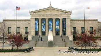 Shedd Aquarium offers a free window into aquatic life after hours for Illinois residents