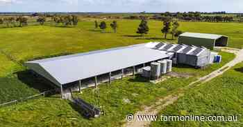 Prized Kingston farm is superbly set up for stock