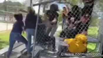 Teen girls face felony charges after beating up classmate in fight caught on video