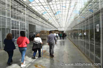 Abbotsford Chamber of Commerce annual agriculture bus tour to spotlight innovation