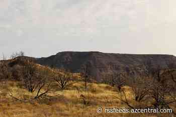 4,500-acre prescribed burn scheduled for forest area near Flagstaff