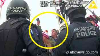 Actor Jay Johnston, known for 'Bob's Burgers' character, arrested on Capitol riot charges