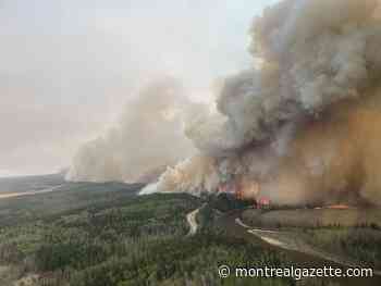 Climate change is exacerbating forest fires and vice versa, experts say